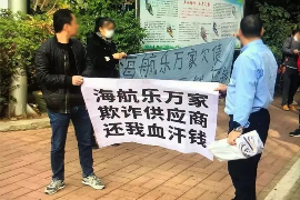 东兰如何避免债务纠纷？专业追讨公司教您应对之策